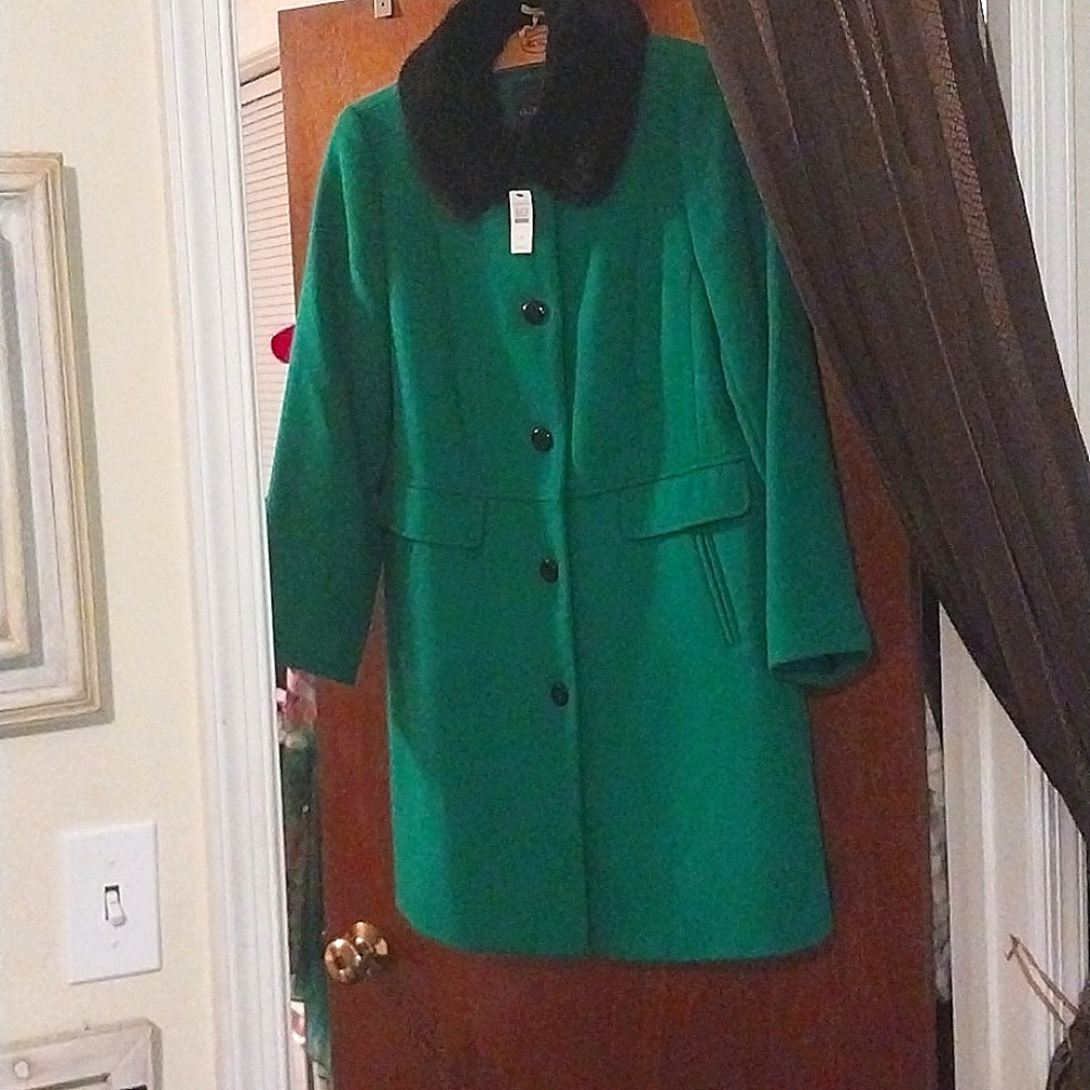 dress winter coat